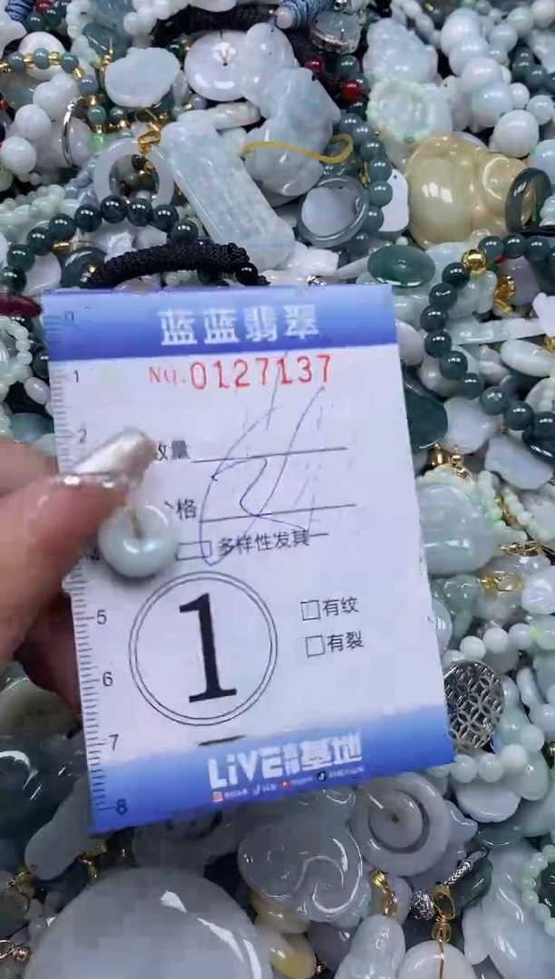 【闪购商品】翡翠颈饰未镶嵌闪购0127137多样性发其一