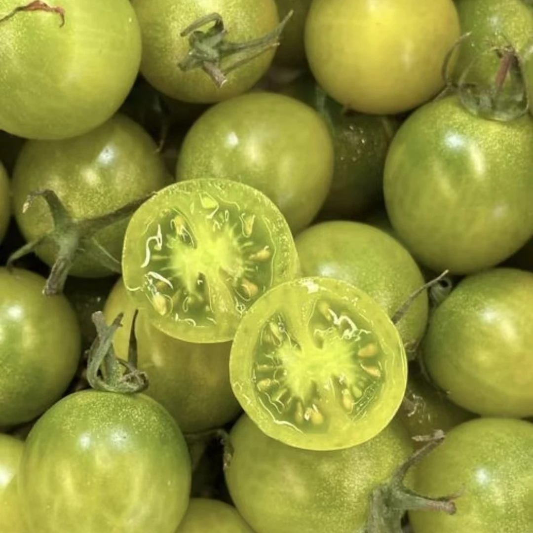 一箱【青甜小柿子】甜度高，颗颗爆汁，汁水充沛，净果1.8斤左右