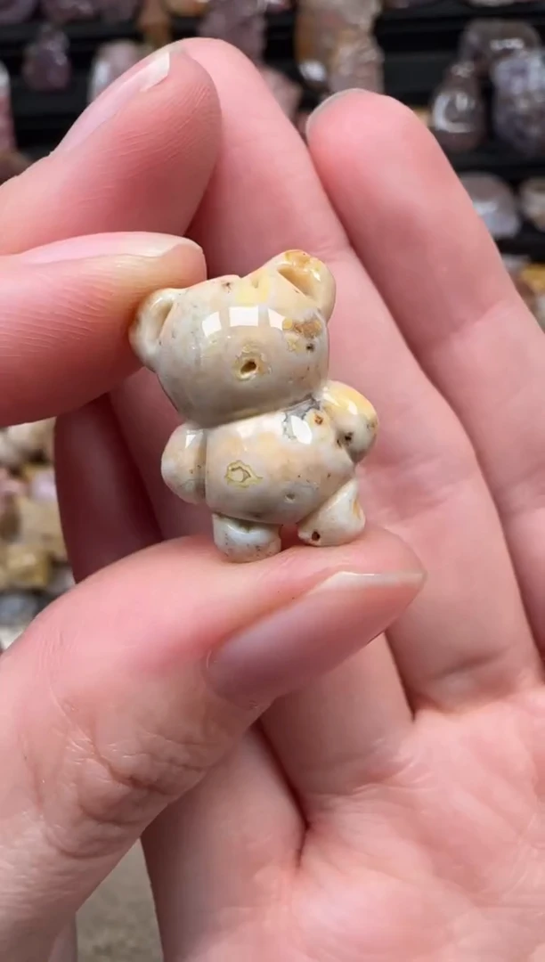 颈饰未镶嵌硅化珊瑚（珊瑚玉）586