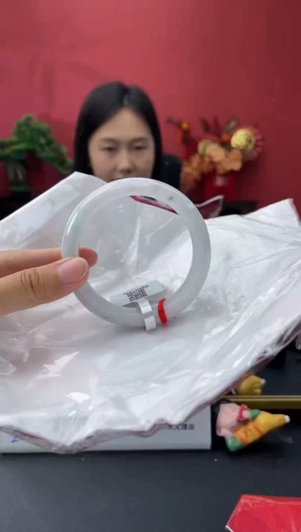 未镶嵌手镯翡翠5