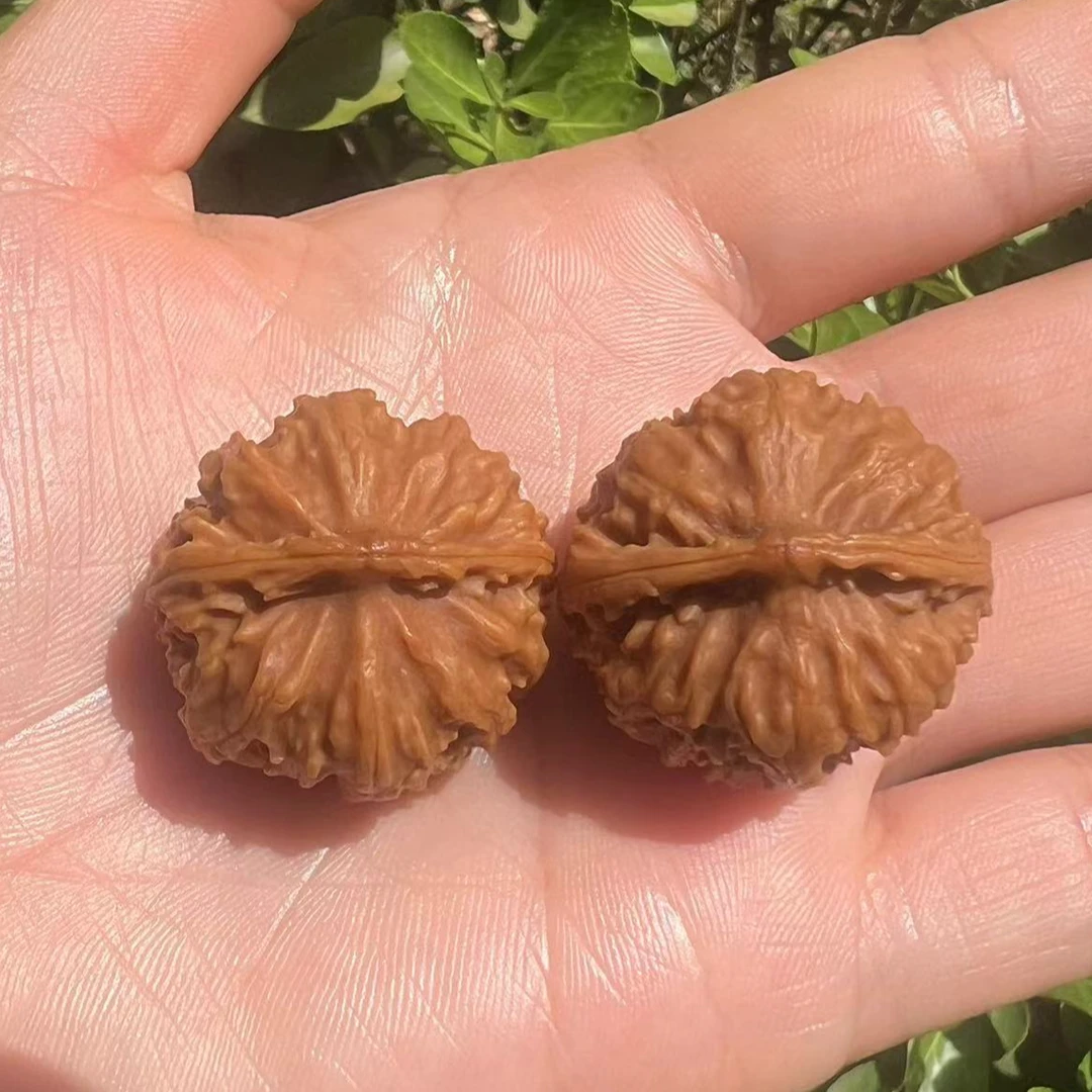 秦岭野生文玩核桃配对，以实物为准