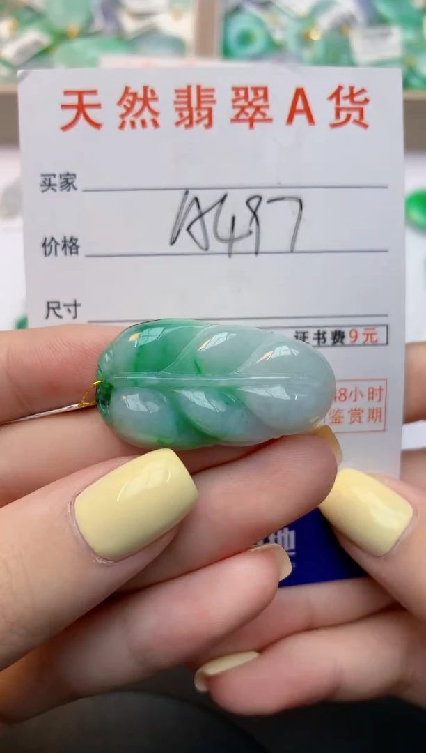 颈饰未镶嵌翡翠天然缅甸A货翡翠百元以上9元证书费自理