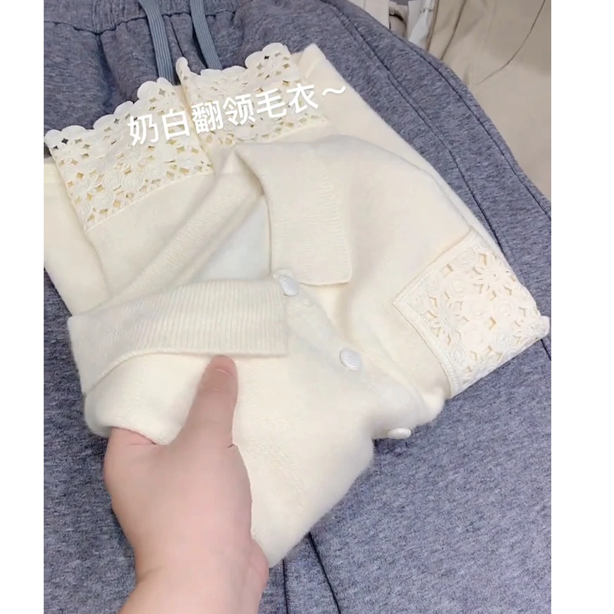 秋冬超火爆款穿搭ins风2025新款韩版气质减龄百搭长袖翻领针织衫