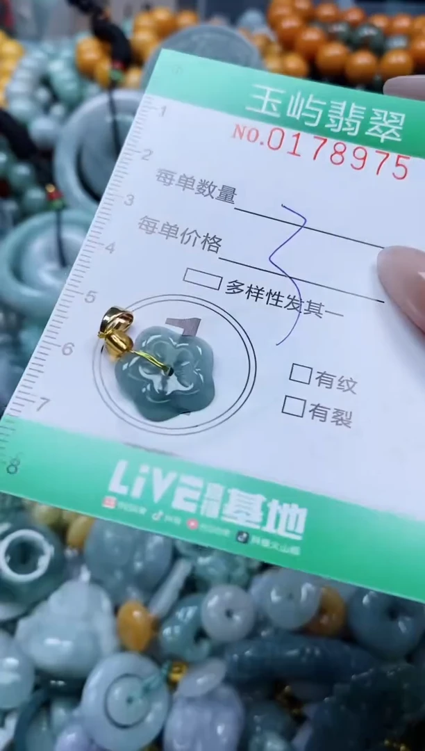 翡翠未镶嵌颈饰闪购0178975