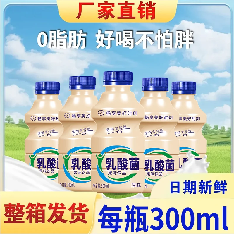 新日期乳酸菌风味饮品整箱300ml*12瓶早餐益生菌风味饮料