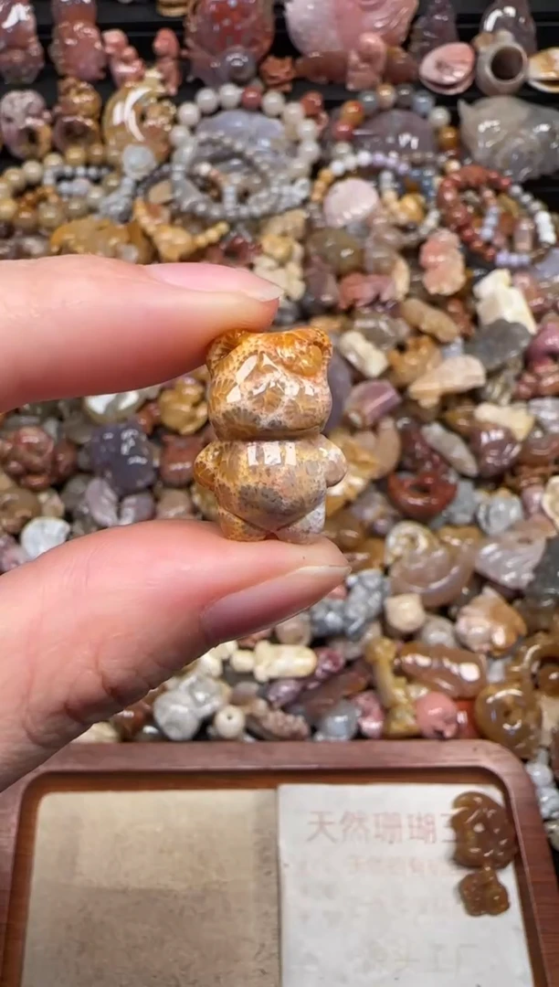 颈饰未镶嵌硅化珊瑚（珊瑚玉）201