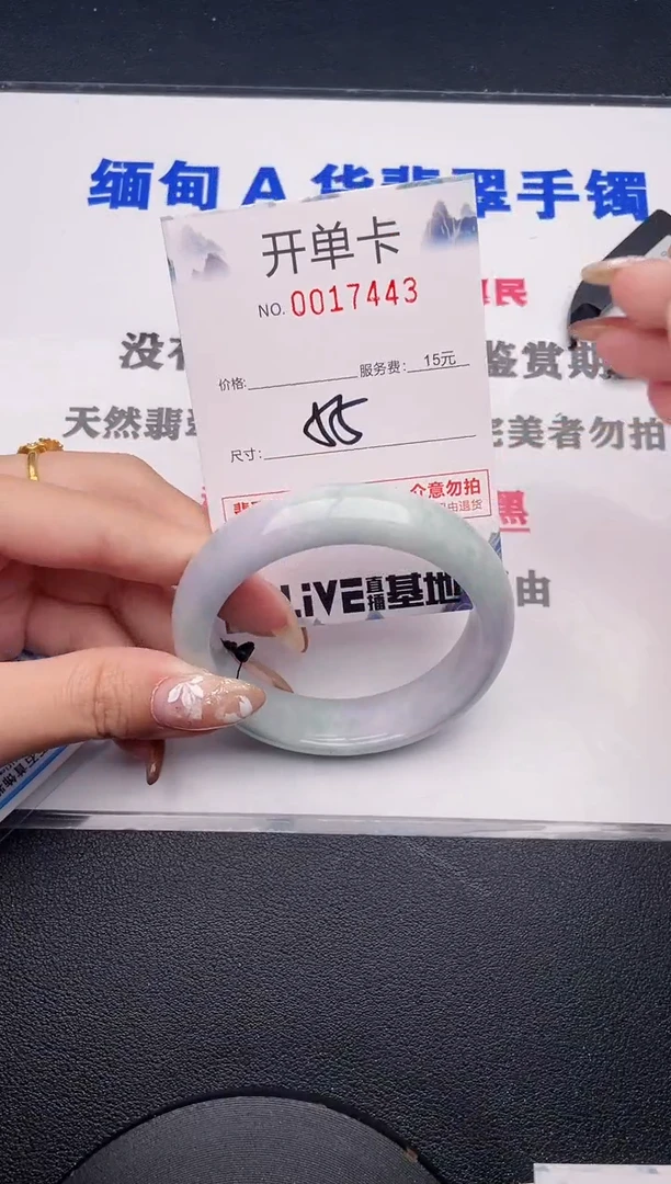 未镶嵌手镯翡翠43