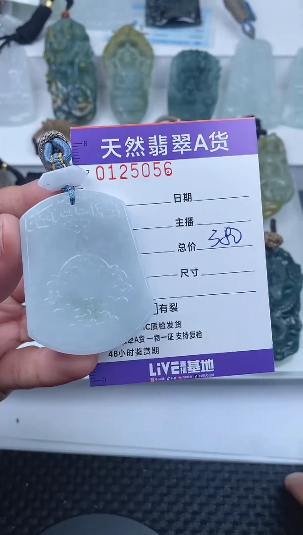 【闪购商品】翡翠颈饰未镶嵌       056