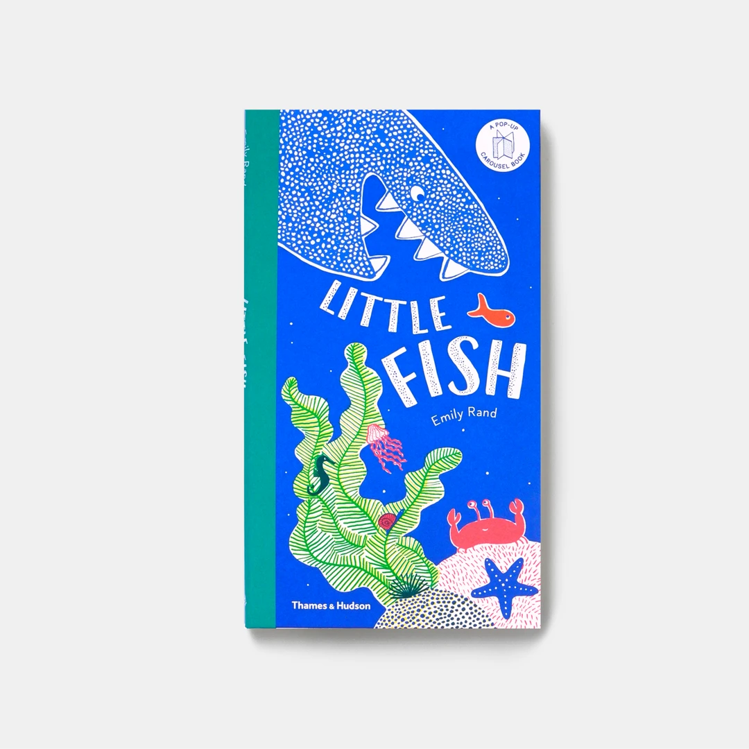【微瑕】Little fish 小鱼旋转立体绘本