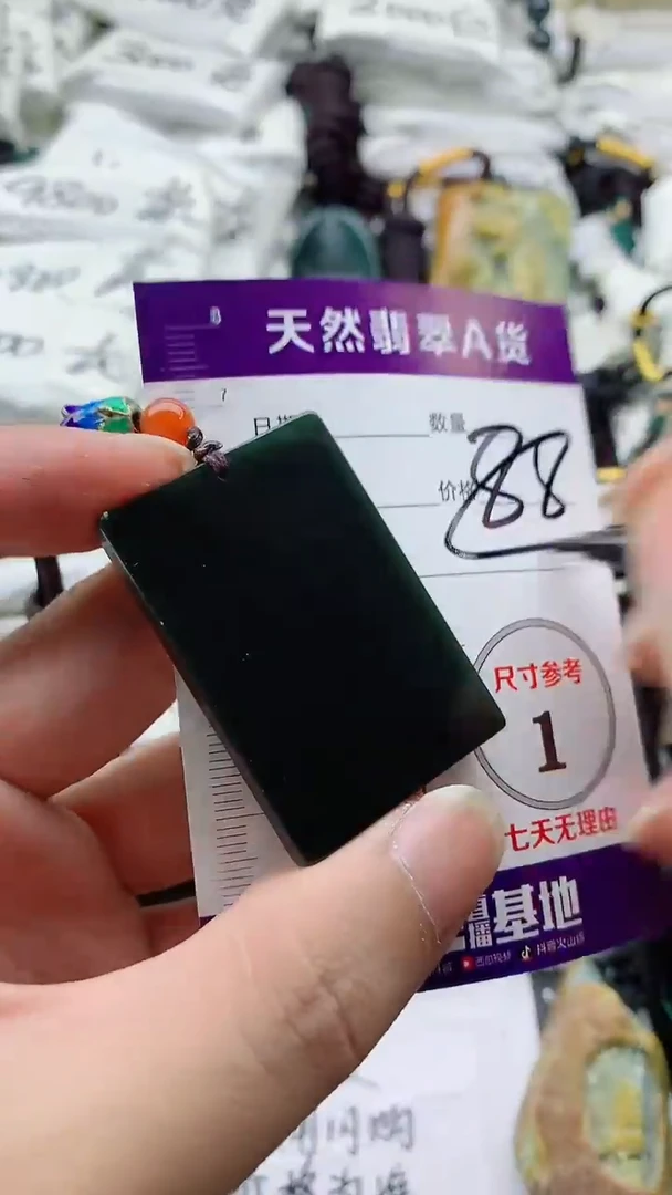颈饰未镶嵌和田玉（墨玉）888
