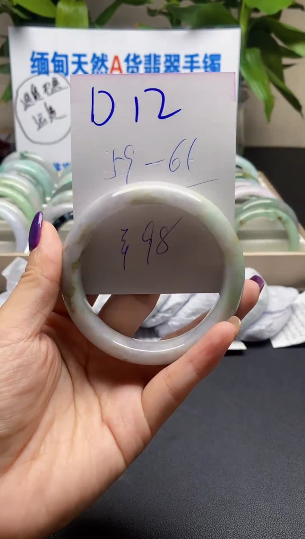 未镶嵌手镯翡翠12