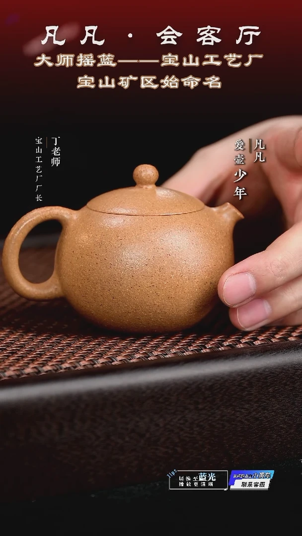 茶壶紫砂DL32 梅佳 河豚西施黄降坡120cc