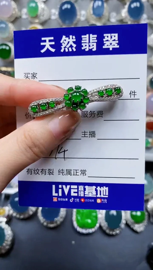 翡翠银S925镶嵌颈饰0374