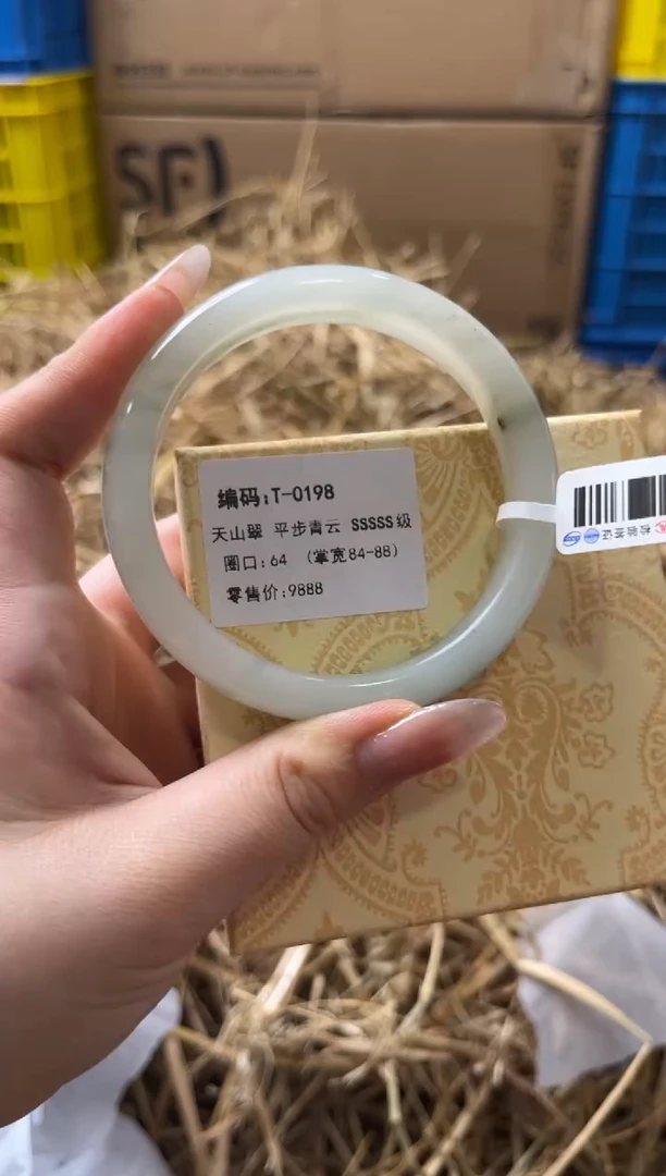 未镶嵌手镯石英质玉T-0198