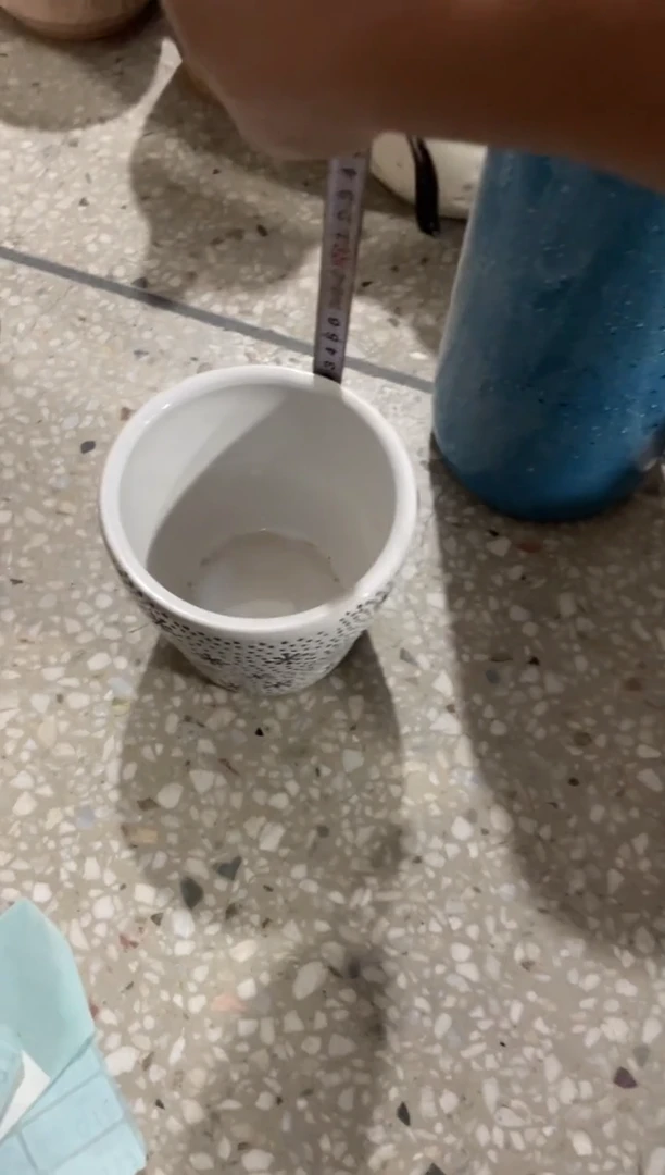 花盆高12.5cm口径12cm