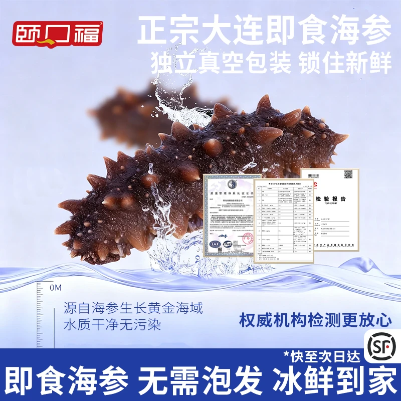 颐口福大连即食海参 5-8只/1斤