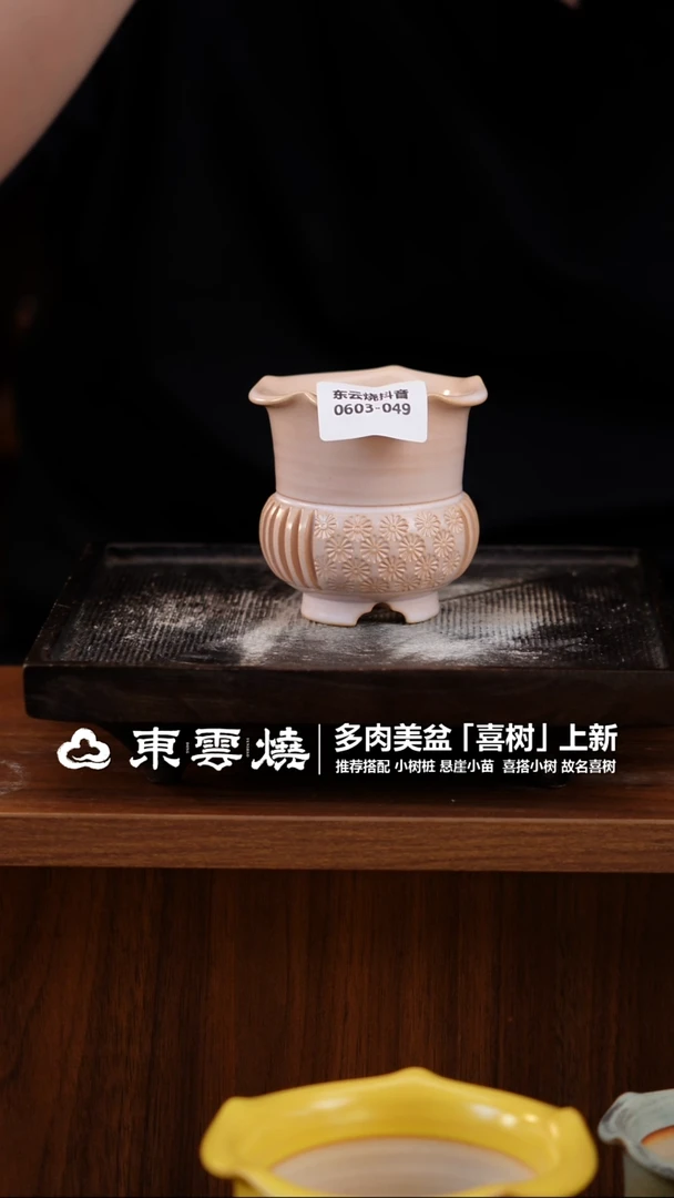 0603-049A  喜树口6