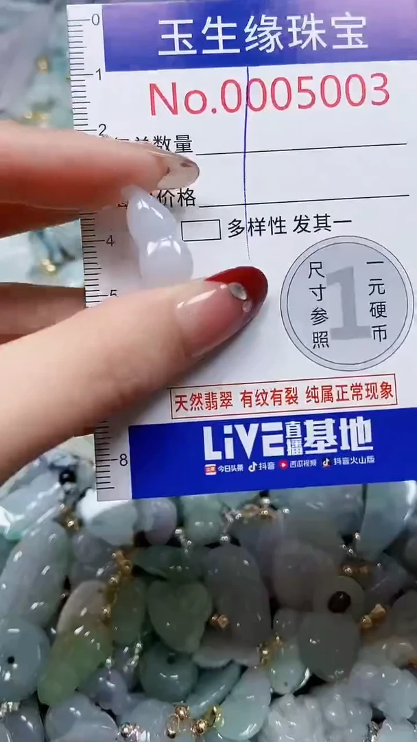 【闪购商品】翡翠颈饰未镶嵌闪购00005003