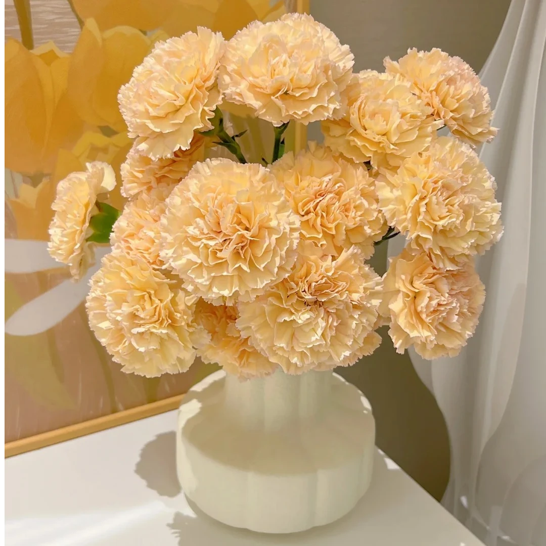 【源头优选】单头康-可可西里-任意2单鲜花包邮 发货后不支持退款