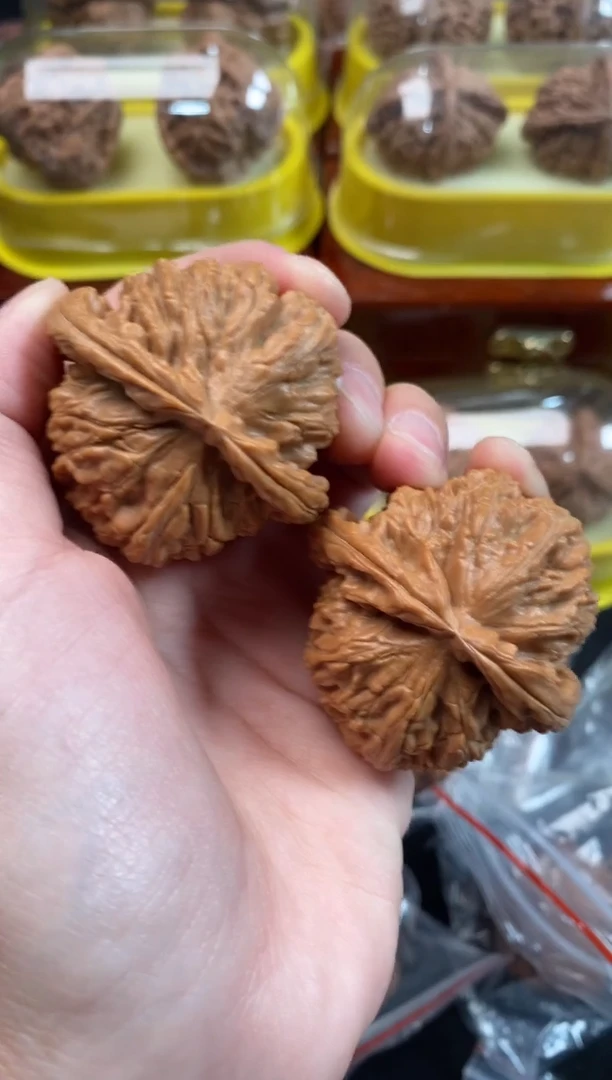 把件文玩核桃白狮子44尺s558