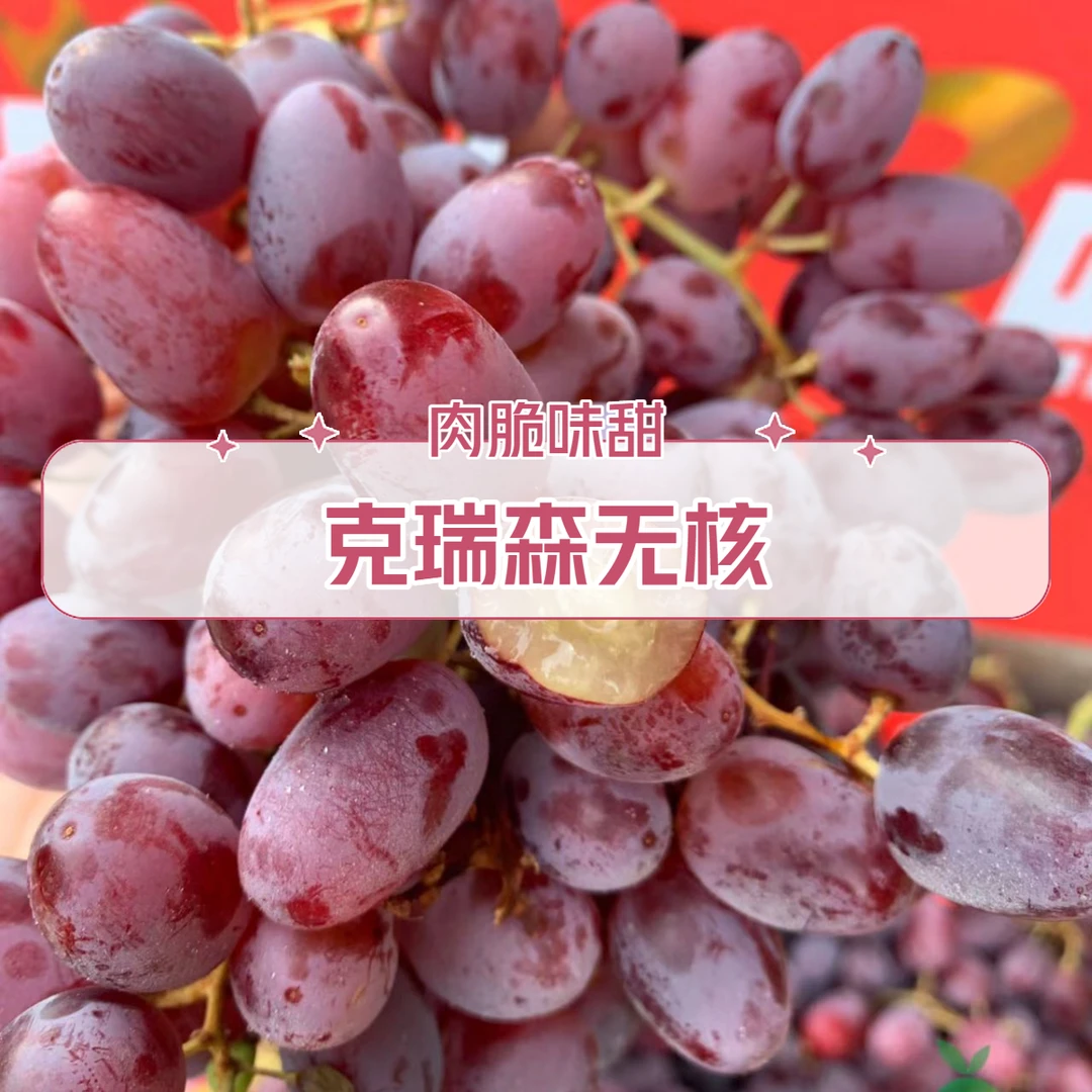克瑞森无核葡萄苗天然无籽晚熟庭院阳台种植果树南北方均可定植