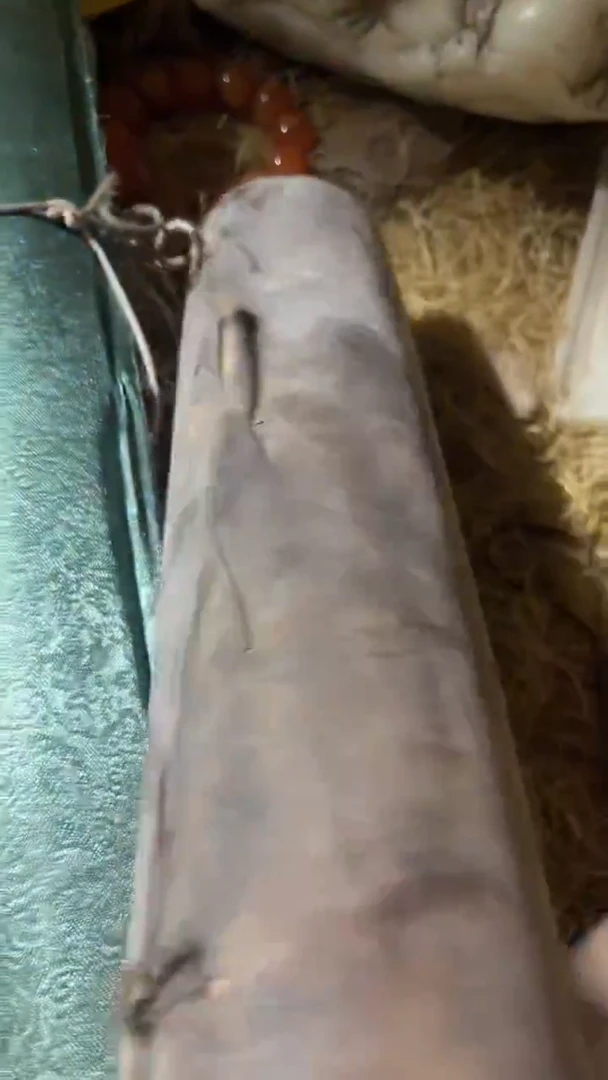 木1个小皮桶11111