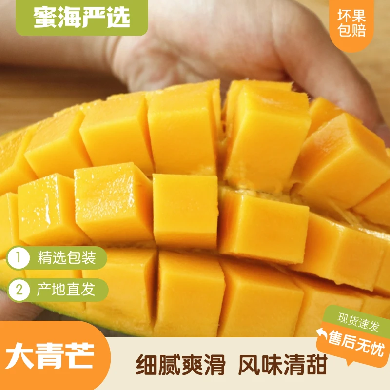 【蜜海严选】海南大青芒甜脆4.5斤/8.5斤整箱芒果水果