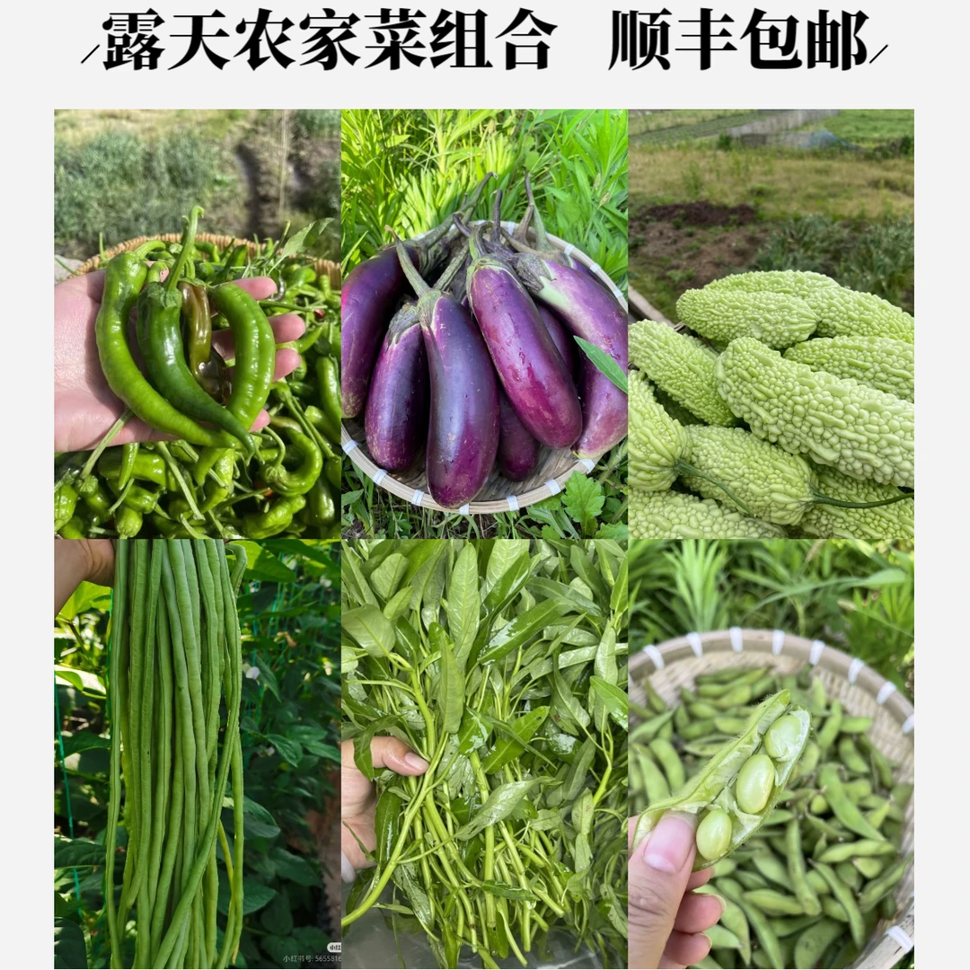 任选多种当季新鲜蔬菜组合装农家豆角青椒美味农家菜农家新鲜蔬菜