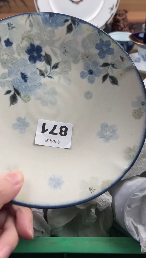 瓷片甲***甲瓷片       871