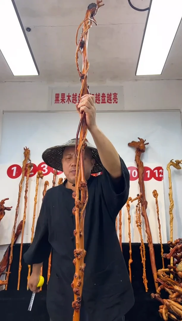 黑果木其他黑果木523