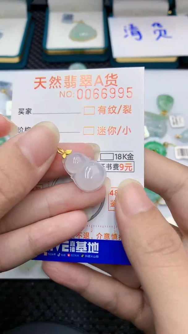 【闪购商品】翡翠颈饰18K金镶嵌            8