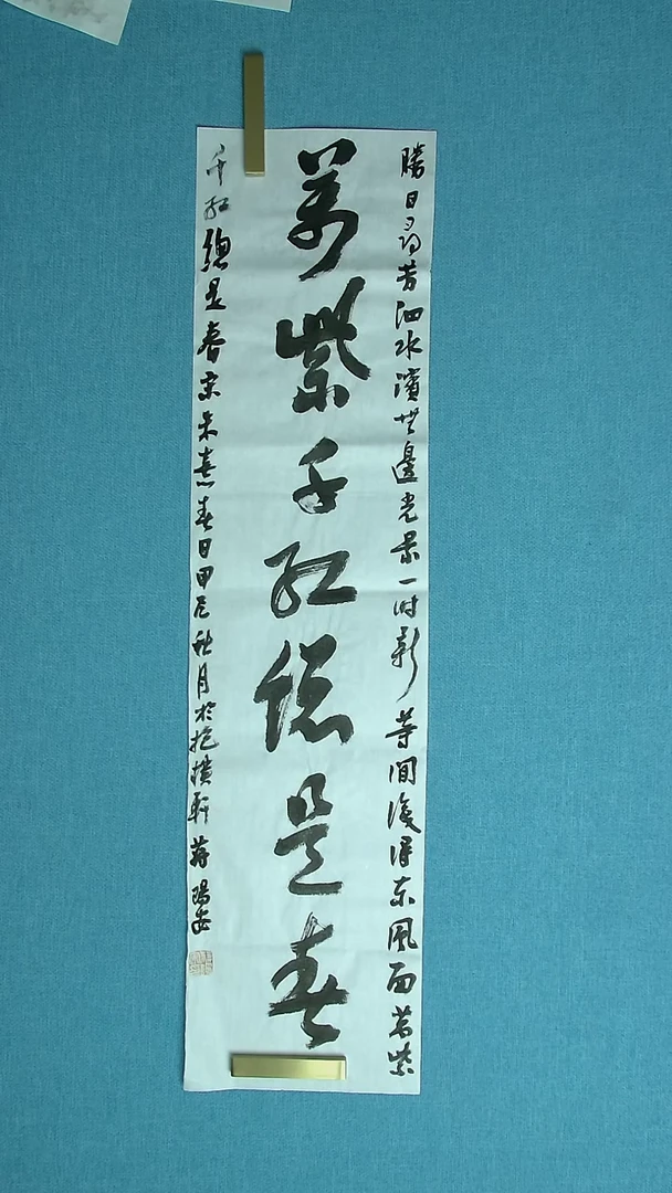 【闪购商品】书法196 陕西蒋阳安中书协98*25