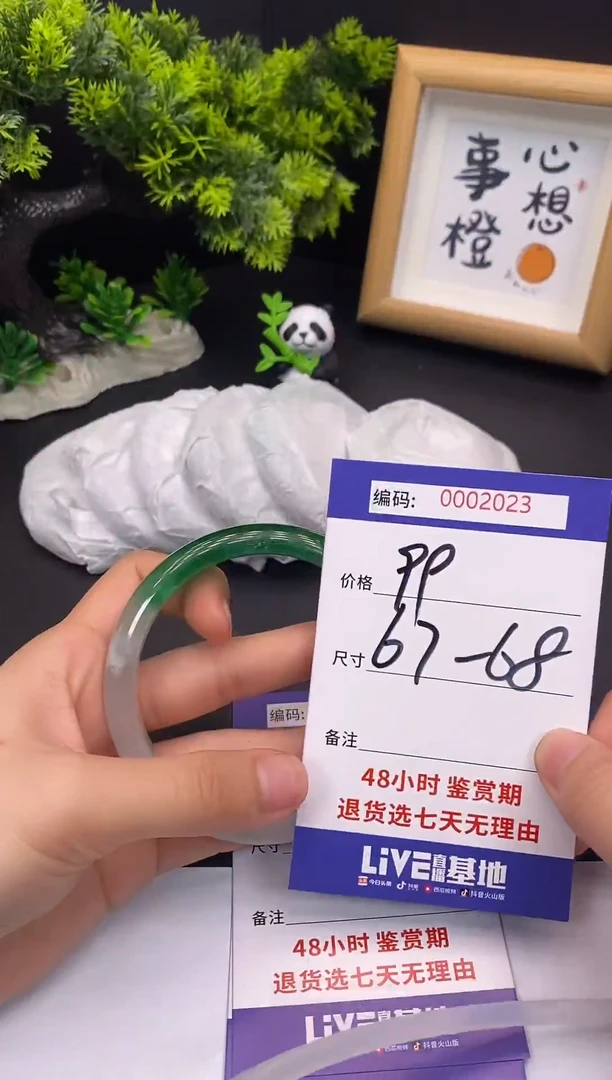未镶嵌手镯翡翠0002023
