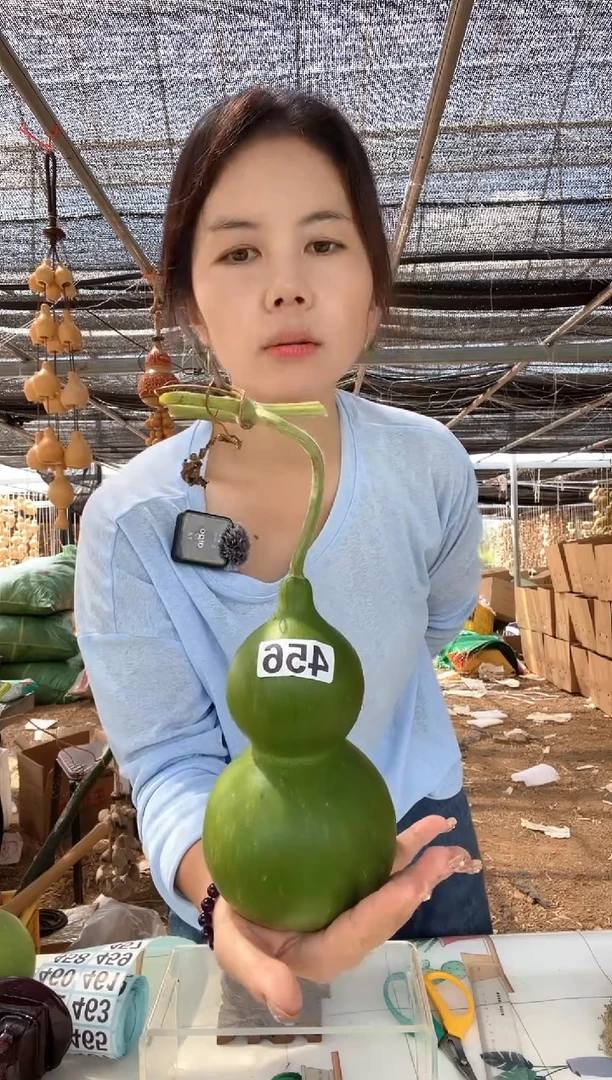 456天然葫芦摆件 一物一拍龙头不保售后