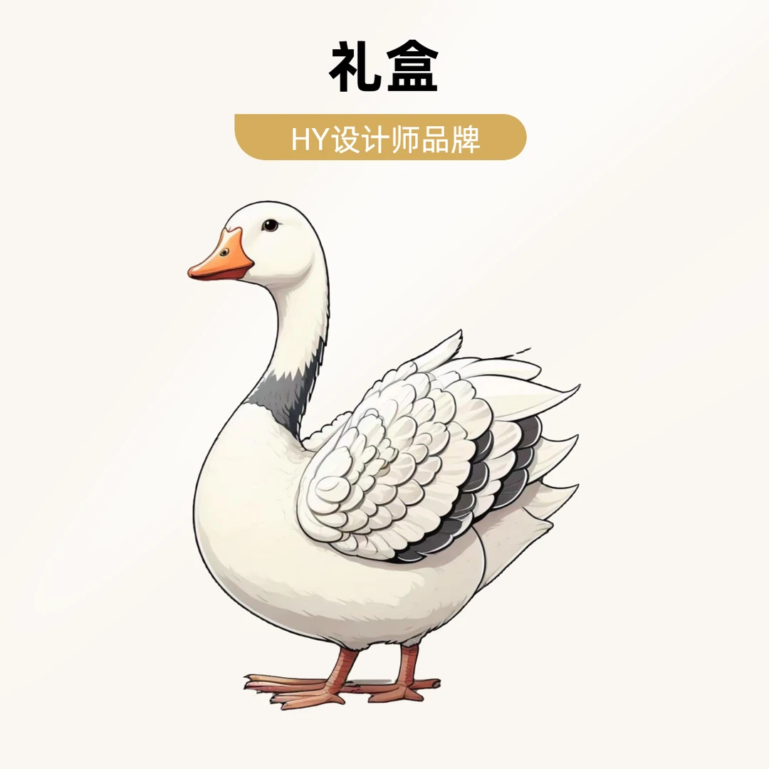 HY设计师品牌 浮力专享礼盒   羽 羽4d009