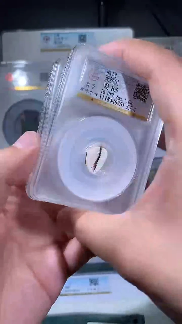 【闪购商品】铜御泉收藏天然bei一枚