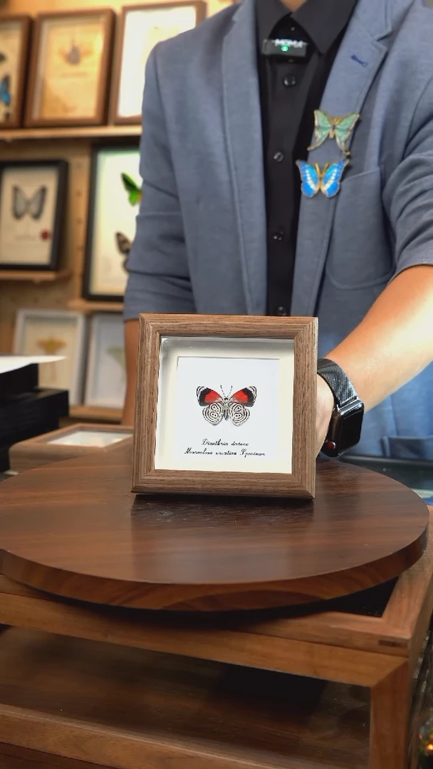 88多涡蛱蝶简约版4寸木纹方框