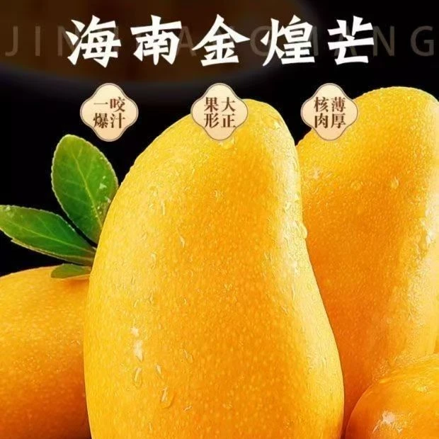 正宗海南金煌芒果【熟吃软糯香甜，生吃脆爽酸甜】头茬新鲜海南直发