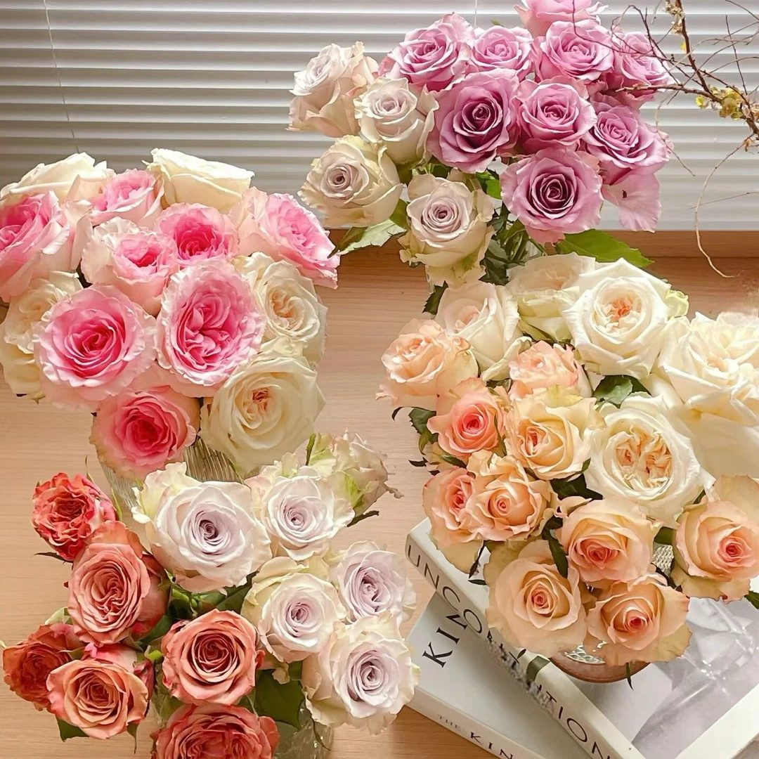 【云舍花卉】蔷品基地【随机玫瑰10支】【任意品种颜色随机发介意慎拍】