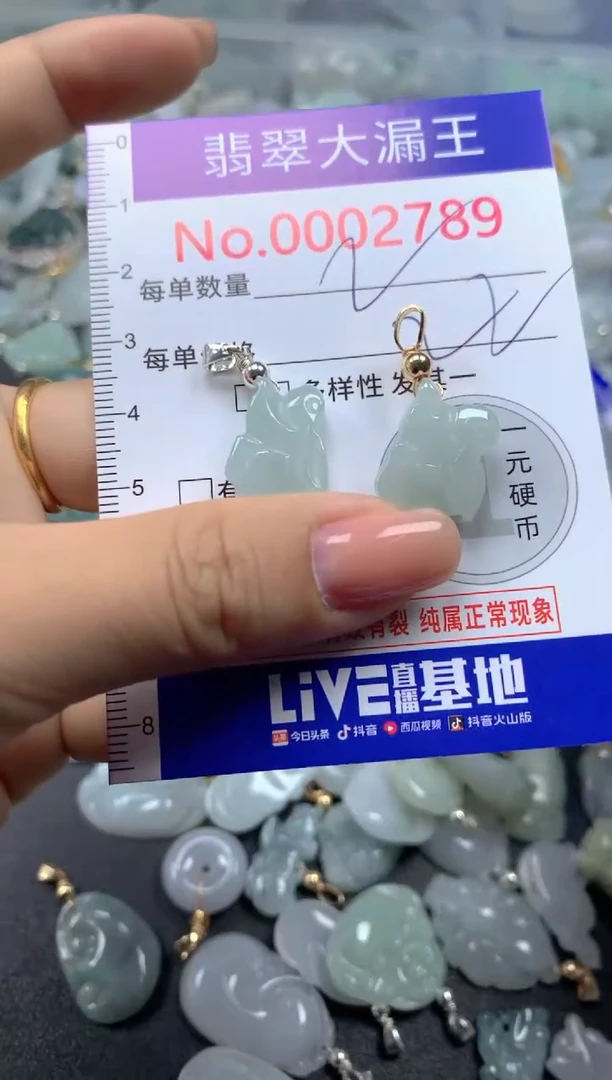 颈饰未镶嵌翡翠2789