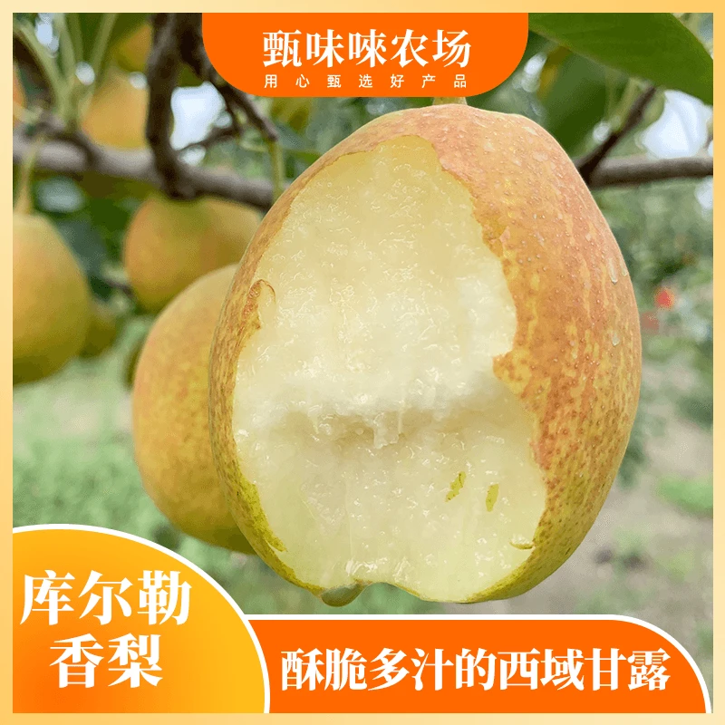 【甄味唻农场】新疆库尔勒香梨5斤小果/大果/特大果约12-25个 T