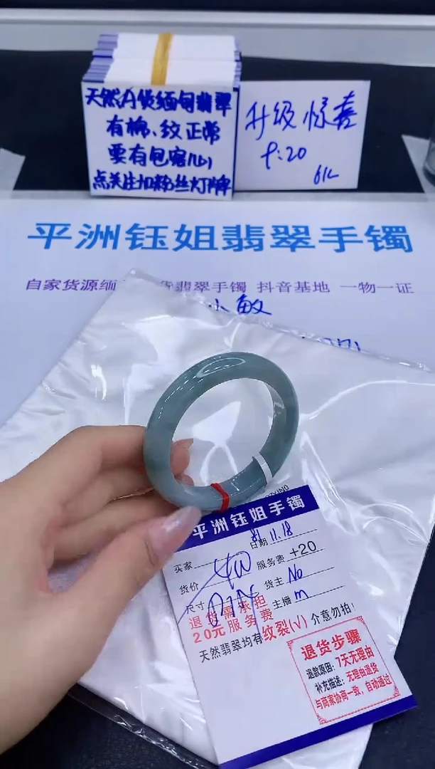 未镶嵌手镯翡翠11111