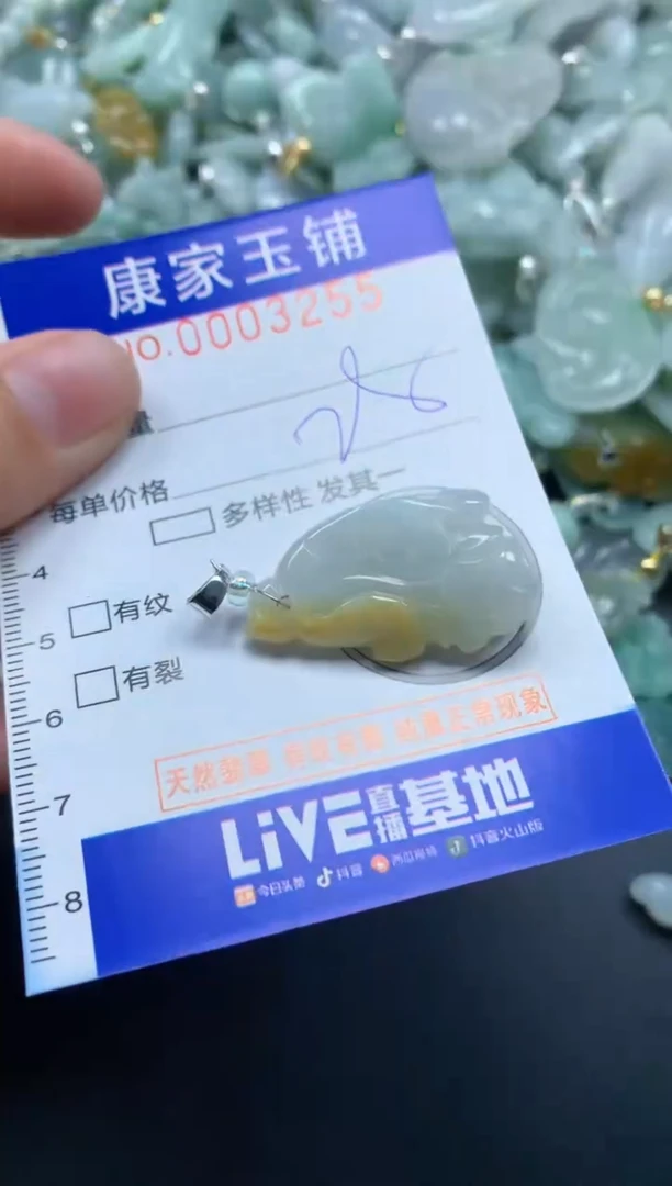 颈饰未镶嵌翡翠3255