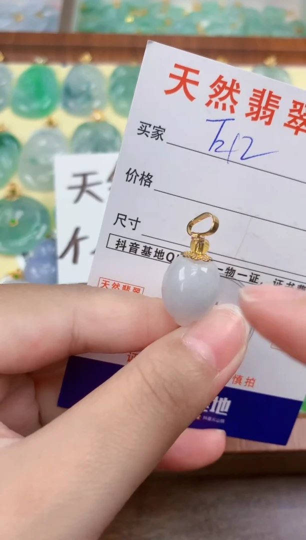 颈饰未镶嵌翡翠天然A货翡翠挂件