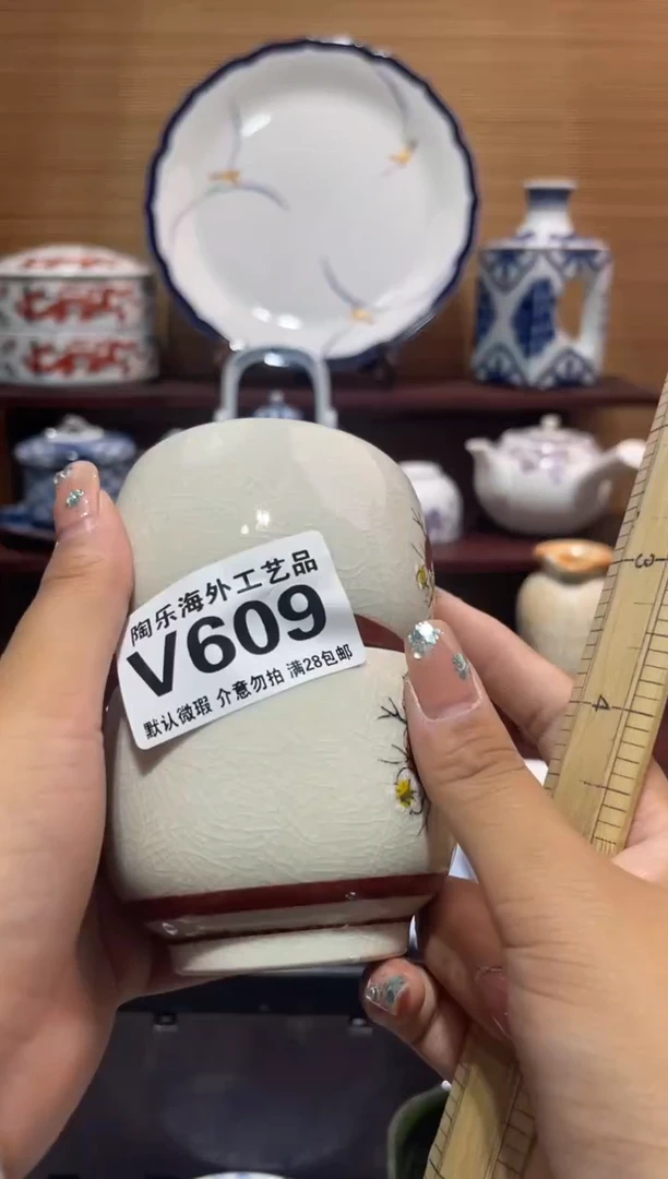 其他用****9        v609