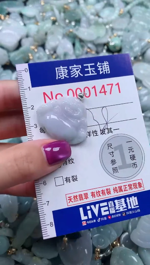 颈饰未镶嵌翡翠1471