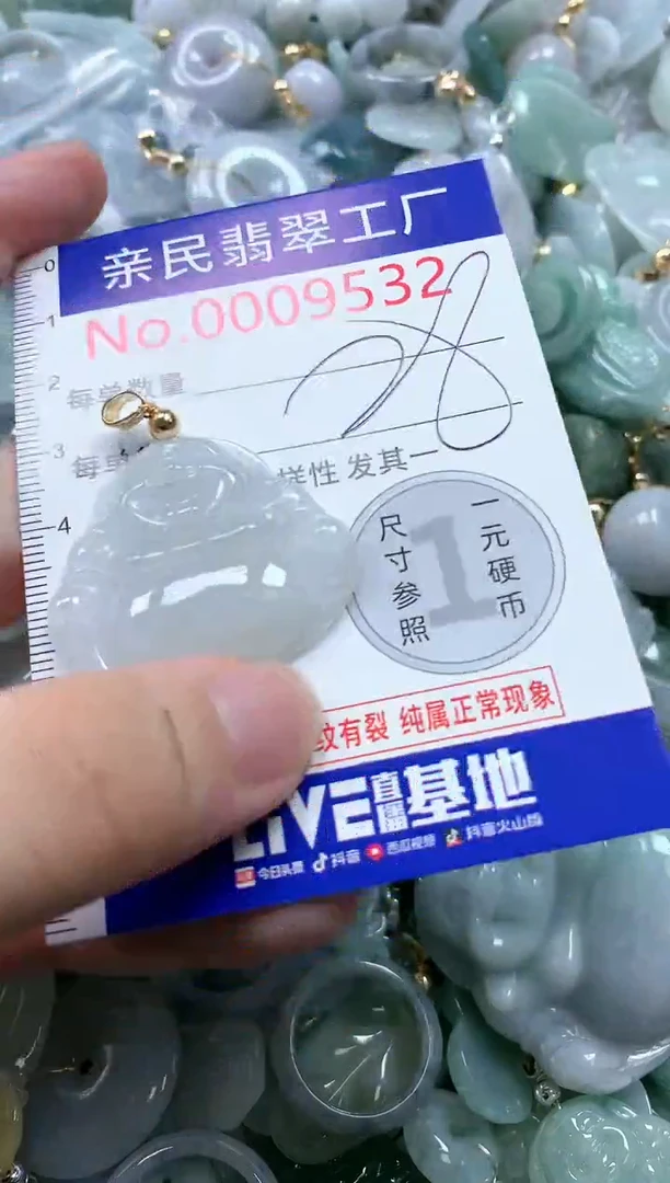 翡翠未镶嵌吊坠(不含链)9532