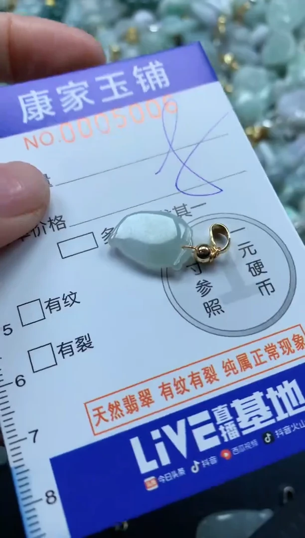 颈饰未镶嵌翡翠5006