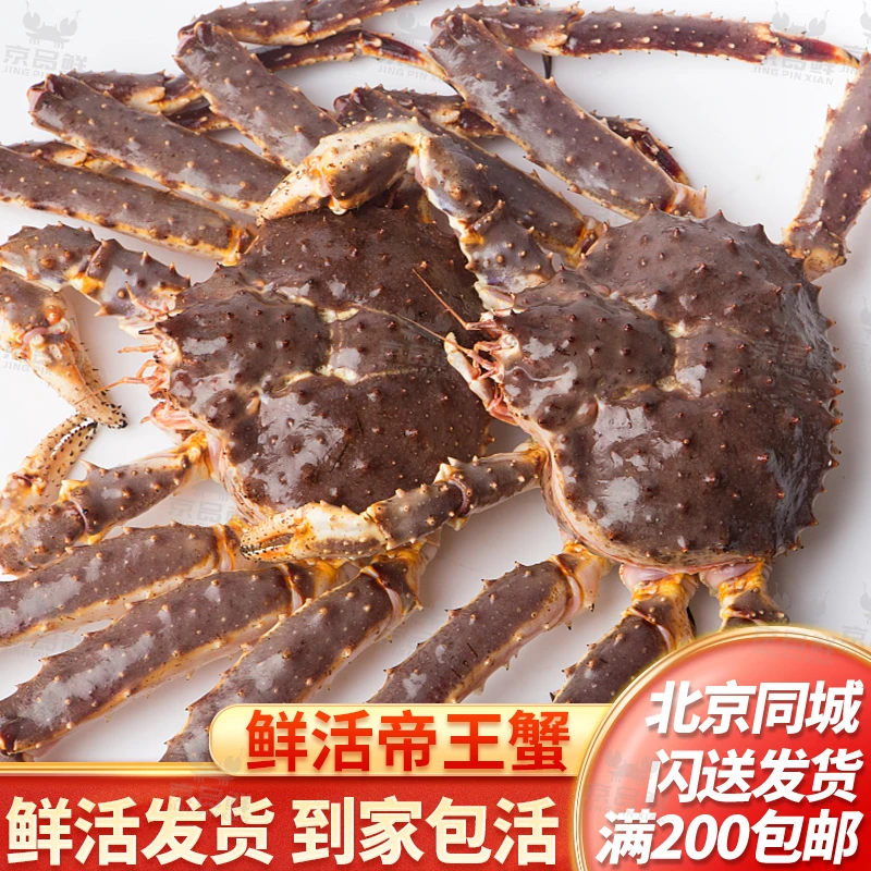 鲜活帝王蟹4-8斤/只北京闪送