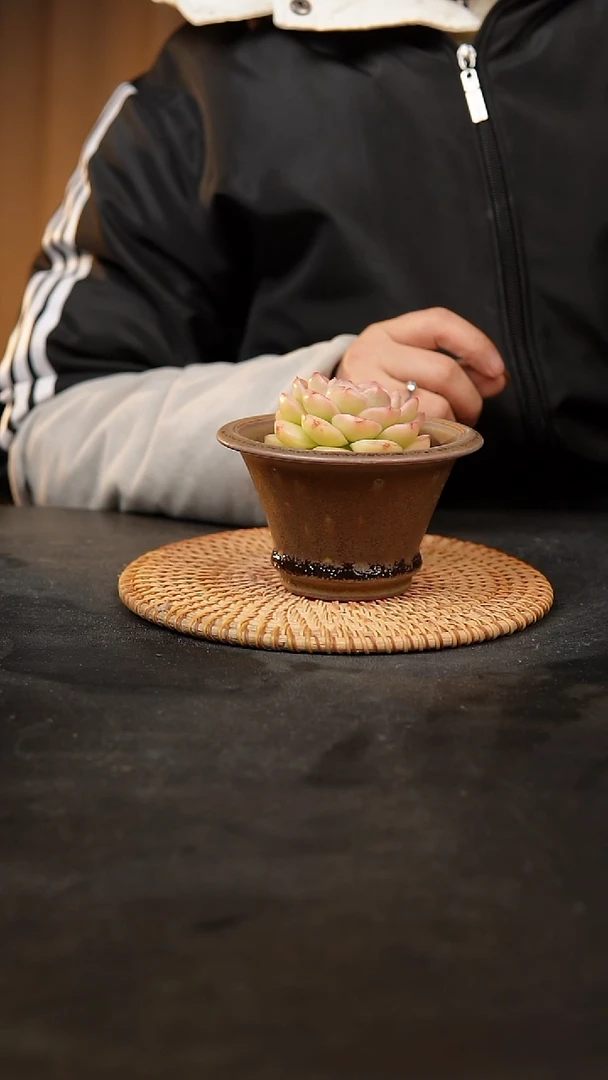 【闪购商品】瓷片泥泥手工花盆